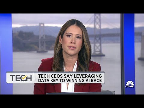 Tech CEOs say leveraging data key to winning A.I. race