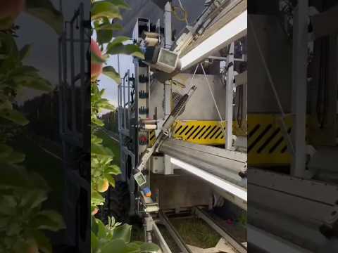 Robotic Apple 🍎 Harvester || Made By Advanced.Farm California || #shorts