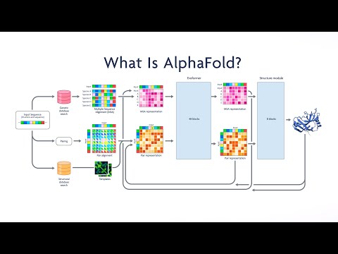 What Is AlphaFold? | NEJM