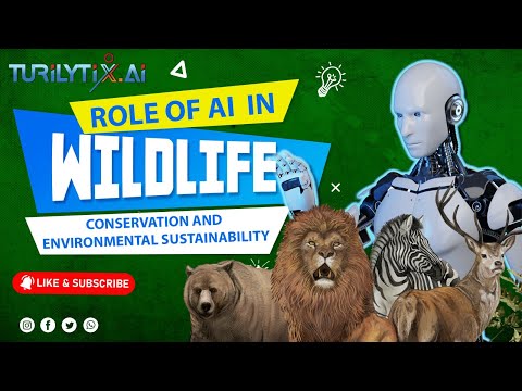 Role of AI in Wildlife Conservation and environmental sustainability