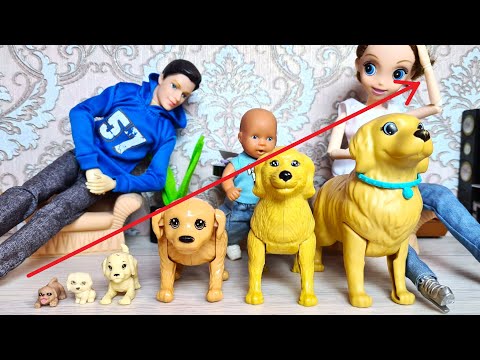 КАК РАСТЁТ СОБАКА🐶😱 Катя и Макс веселая семейка! Смешные куклы Барби и ЛОЛ сериал ДАРИНЕЛКА ТВ