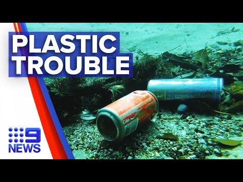 Australia among worst offenders for plastic pollution | 9 News Australia