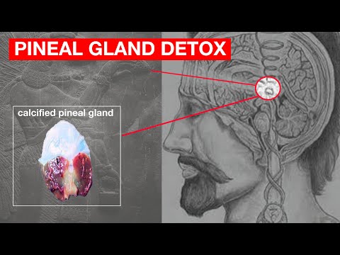 Unlocking Your Third Eye: How to Decalcify Your Pineal Gland