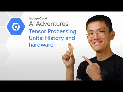 Tensor Processing Units: History and hardware