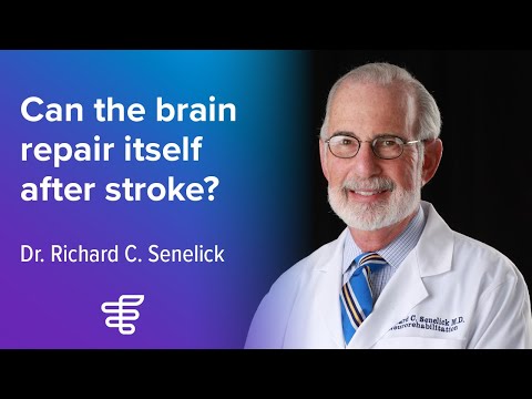 Can the brain repair itself after stroke? | Encompass Health