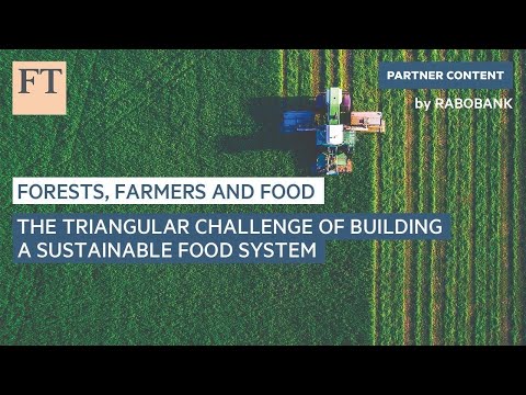 The triangular challenge of building a sustainable food system | FT Food Revolution