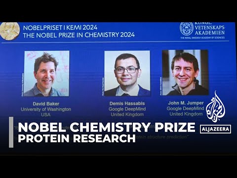 Nobel prize for chemistry: Award goes to trio for work on protein structures