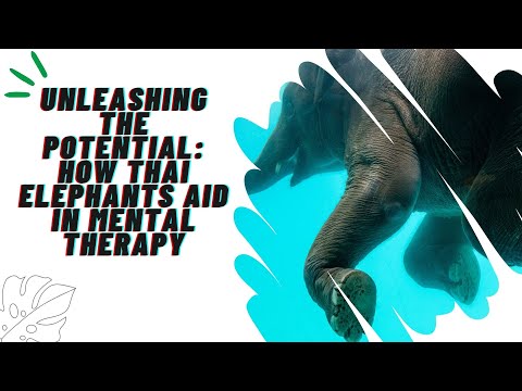 Unleashing the Potential How #thaielephant Aid in Mental Therapy #elephant #tiktokviral