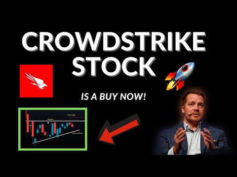 🚀 CROWDSTRIKE STOCK IS A BUY!