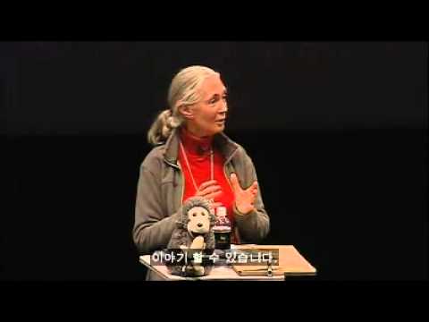 Jane Goodall이 들려주는 &quot;침팬지와 인간의 차이&quot;