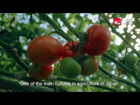 Innovation Japan: Technology transforms Japan’s agriculture