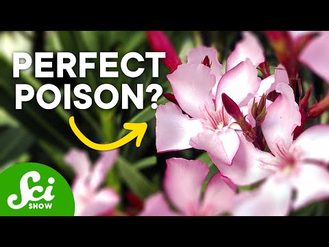 6 Deadly &#039;Undetectable&#039; Poisons (and How to Detect Them!)