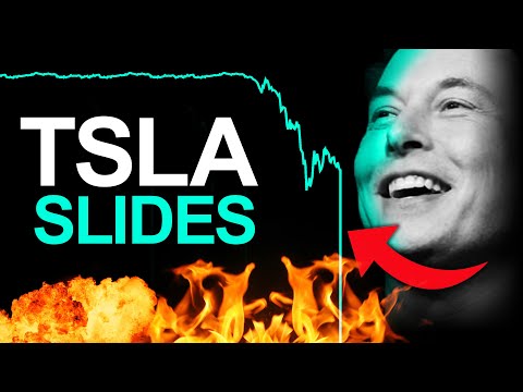 Tesla Stock Getting Pounded, Elon TROLLS Legacy Media Hard