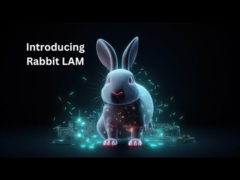 Introducing Rabbit LAM: Revolutionizing Interaction with Computer Applications