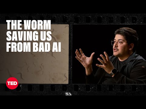 How a Worm Could Save Humanity From Bad AI | Ramin Hasani | TED